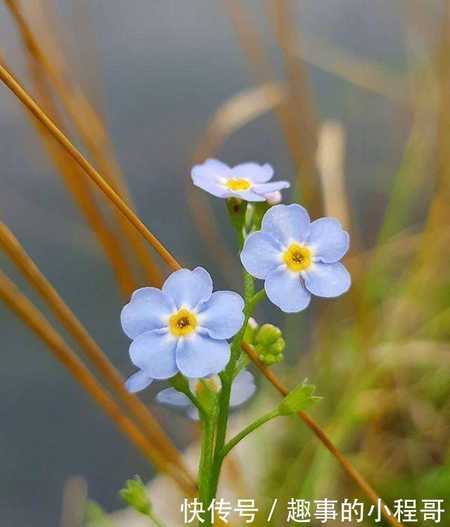 心情舒畅|让你心情舒畅的句子，经典大气，越看越宽心！