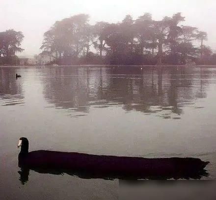  通知书|吴彦祖近照曝光；大张伟又添扎心金句；林俊杰粉丝录取通知书