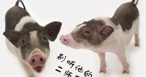  果断|笑话：接到一骗子汇钱短信，俺果断回了一条：已存5千，请查收。