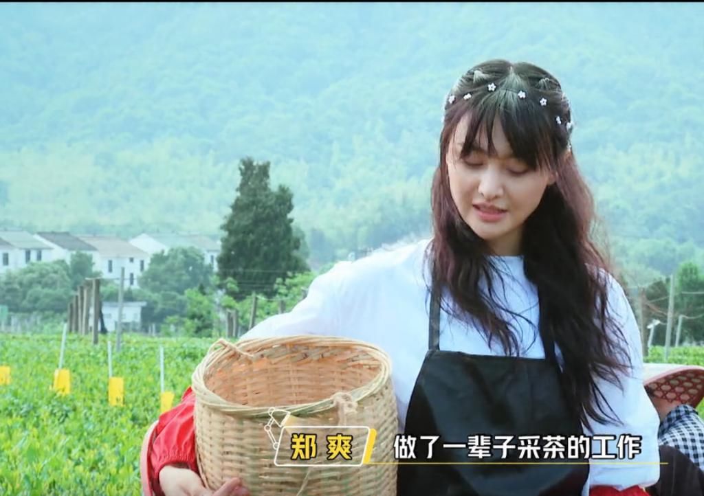  生活|《让生活好看》完结，郑爽体验采茶过程，费启鸣发起活动温暖人心