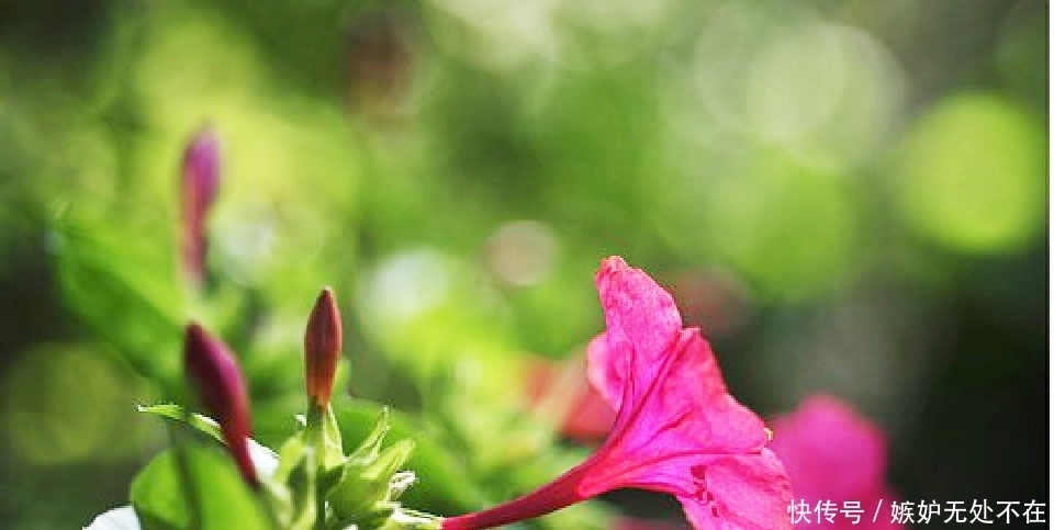 不必|富有哲理的经典句子,句句中肯,句句入心