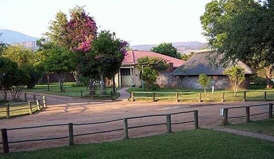  安德鲁|女子的姑妈被奸杀警方6年没破案，她假扮空姐引诱出杀人凶手