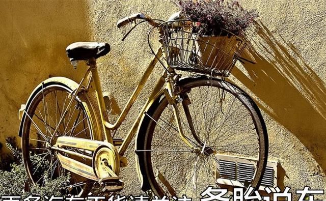  观念|同样是60岁的人，为什么开车的阿姨比老头少那么多