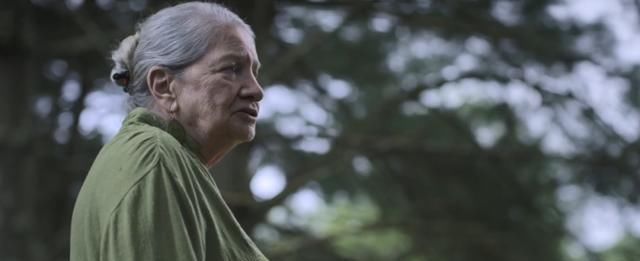  尺度|离奇跳楼、弑夫杀妻、外星人绑架，美国版《走进科学》尺度惊人