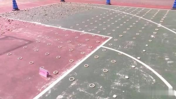 境管理支队|虎骨、虎牙等一批濒危野生动物制品被查获