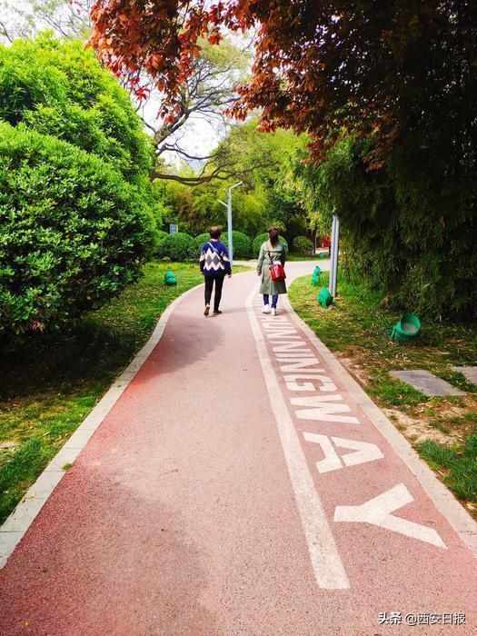 市民|城市“绿脉” 绘就亮丽生态风景线