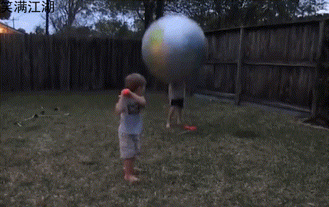  gif|搞笑gif-说句实话，我的生活真的不如这群狗