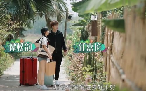 毕竟|任嘉伦上《向往》变身“怼王”,句句扎心谭松韵,气得她成表情包