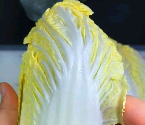 娃娃|夏天没胃口吃饭,用娃娃菜做一道开胃菜,让你胃口大增