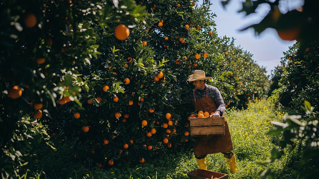  平地果园|果园怎么除草是难题，掌握3种类型的果园除草方法，轻松解决