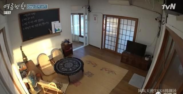  综艺|抛开抄袭风波，确实很治愈……