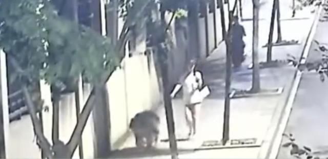 路上|女子走在路上遛狗,却突然遭遇“咸猪手”,男子得手后扬长而去