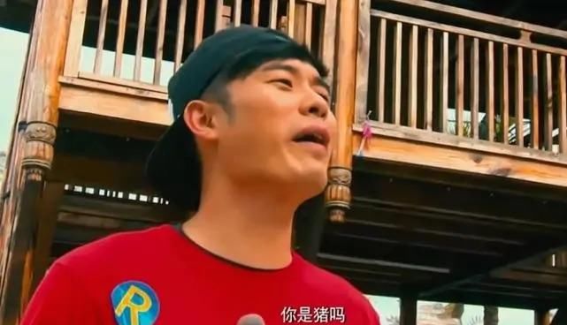  跑男团里|陈赫情商有多高？迪丽热巴加入跑男之后，他再没说过这句口头禅