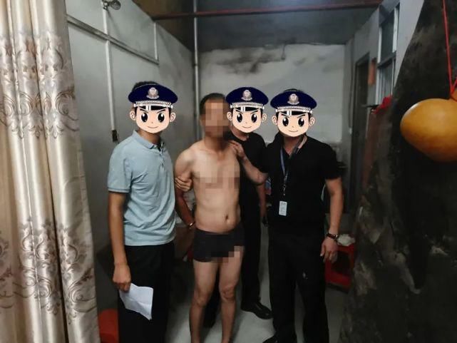  团伙|偷猪变抢猪，70头种猪连夜运走，这个盗窃团伙太嚣张了…