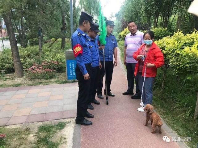 城北区|城北区：大力开展不文明养犬专项整治