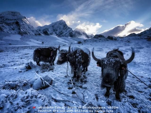  海拔|去了希夏邦马，你就看不上珠峰了