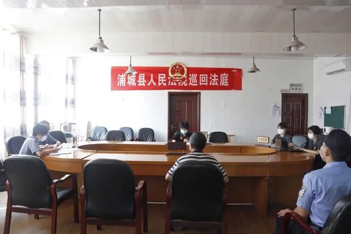 林木|砍伐自家林木也不行！浦城法院巡回法庭进村“说法”