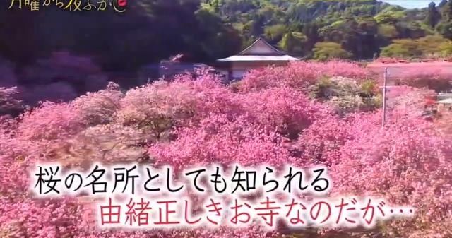  角色|日本主持将自家寺庙二次元化，并且亲自为宣传角色配音