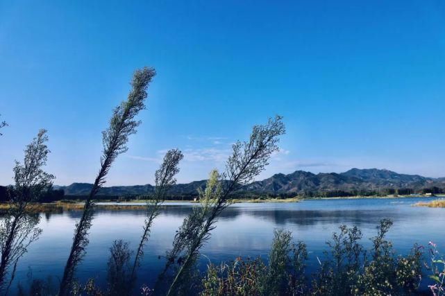 何必|何必远行~这里的湖光山色惹人醉！