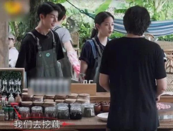  画面|《向往4》嘉宾努力干活，粉丝为爱豆们捏一把汗，我却留心远景画面