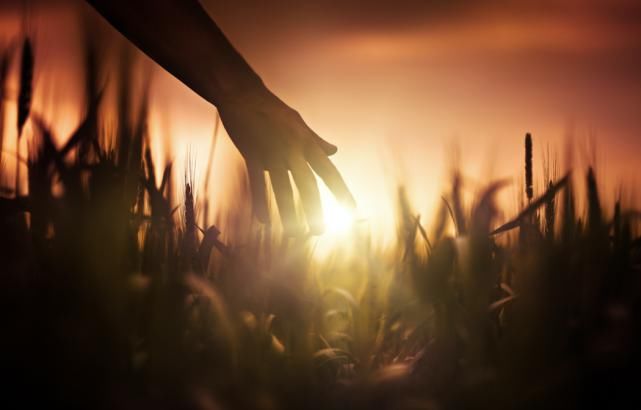  这位|七年了，多少人还在令这位九旬老人心寒