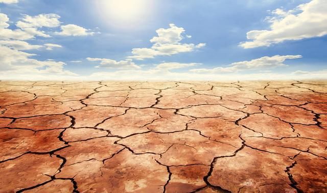 马桶|在冲完马桶之前看一眼，“大便”的异常提示早知道