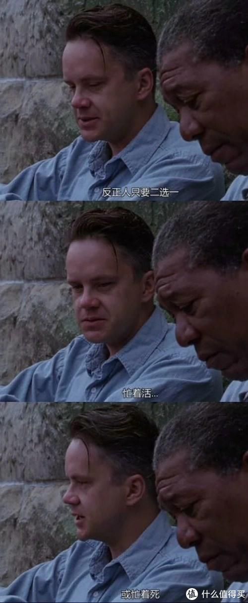  电影|分享你所热爱的丨电影推荐