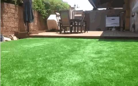 世界|德国凭这几张照片，再次震撼世界！太牛了