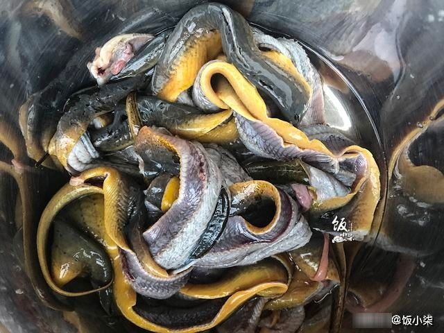  土腥味|清洗黄鳝时，不要只会用清水洗，多加这2样东西，土腥味都消失了