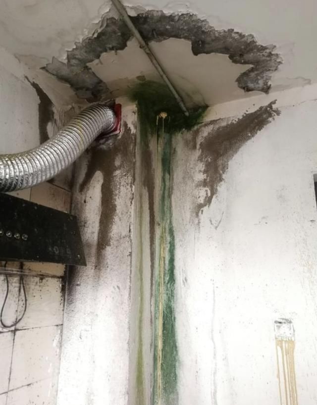  吴女士|漏！漏！漏！闵行新房报修三年多没修好，顶上竟长出青苔