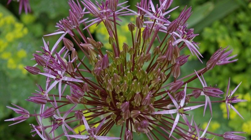 高贵|7月中旬好运不断,财运喜事接着来,这4大生肖年赚百万不是梦!