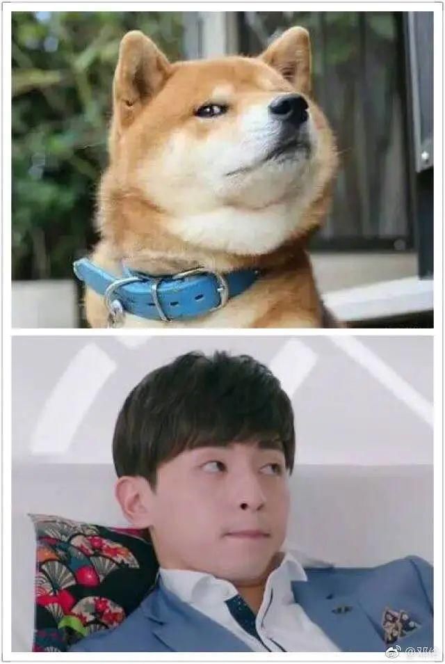  健身|「健身」邓伦这身材？不是电影特效吗？