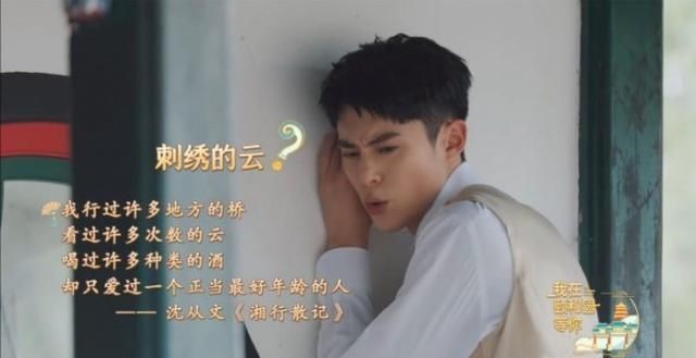 王鹤棣|帅气搞笑的王鹤棣，也有心酸史，这样的王鹤棣你了解吗？