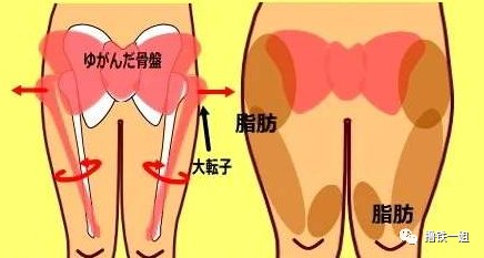  训练|赵丽颖身材都练得这么好了，还有网友喷她是奚梦瑶同款扁平臀？！