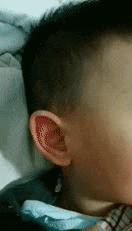 搞笑|搞笑GIF:当孩子第一次发现自己是狼人