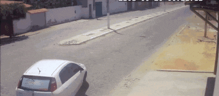 节目|搞笑GIF:这是一个很辣的节目