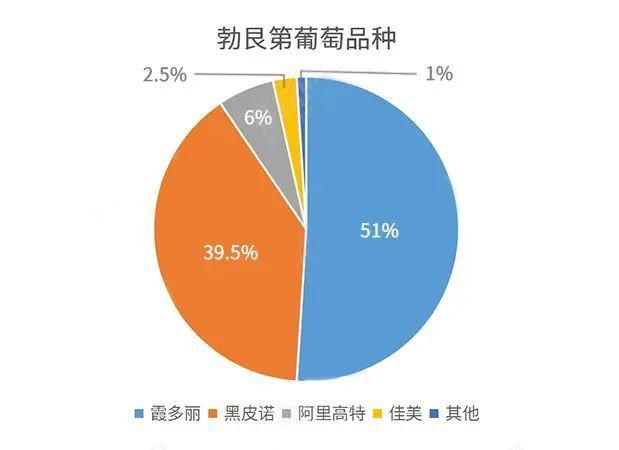 勃艮第|波尔多 VS 勃艮第