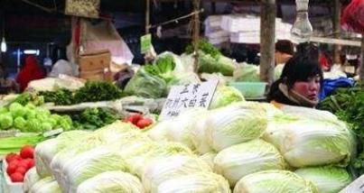  菜农|白菜包心期喷一喷醋，不仅可以量产而且营养足！买菜时候问问菜农