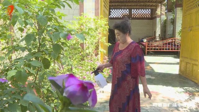  美丽|健康文明新生活 | 改善人居环境 扮靓美丽乡村