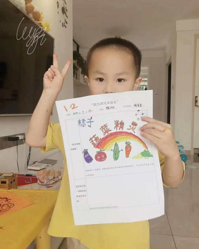  种植园|「园所动态」“我为种植园取名字”——诺亚舟和庄幼儿园