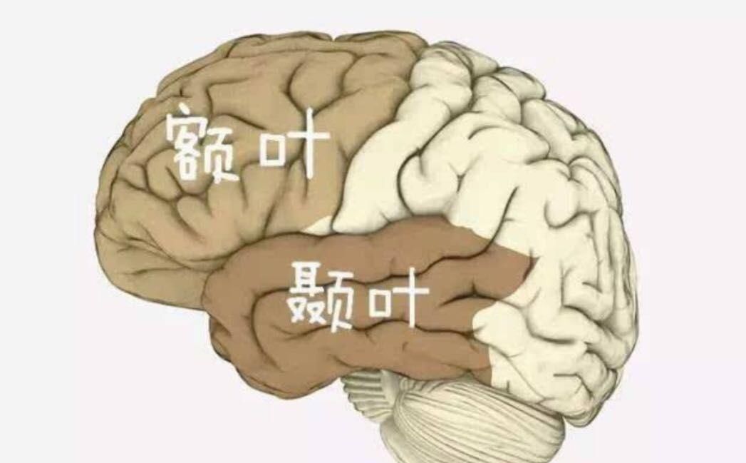  健康|人体健康之额颞叶痴呆