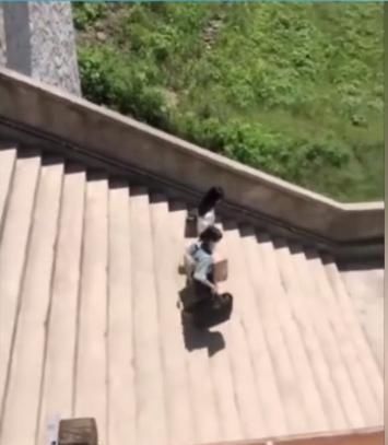  忽悠|周冬雨忽悠赵丽颖参加《中餐厅》，结果这算灵还是不灵呢