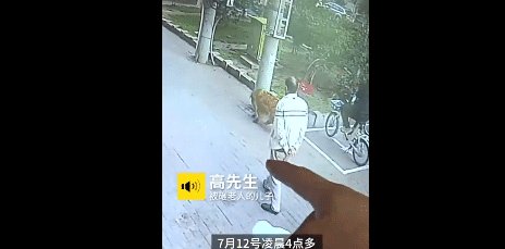  玻璃|高空坠猫砸晕老人后续: 提供监控的理发店玻璃被砸, 猫主人拒绝15万赔偿