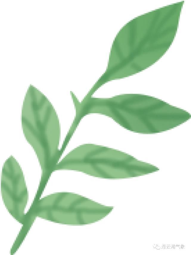  大雨|大雨来啦！灌云终于要降温了……