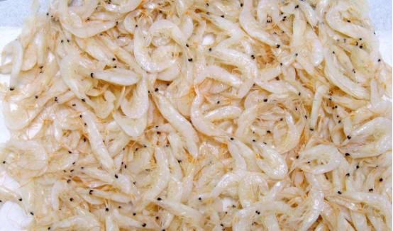 够很好|3种能够补钙的水产,有效补充钙质预防钙质流失,多数人不了解