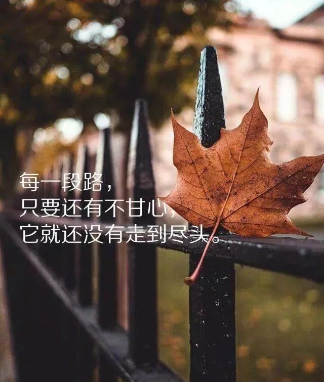 触动|发微信很走心的说说经典句子，触动心灵的一点心语句子！