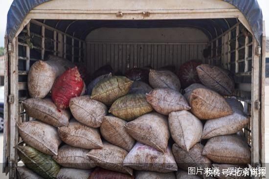 一天发130吨，北京咖啡豆运入量环比增超108% 咖啡货运市场狂飙