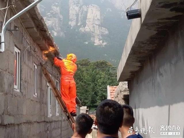  社区网格员|马蜂窝安在居民屋檐下，消防员十几分钟“火烧连营”