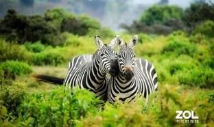 投影|极米MOVIN 01X评测：年轻人的第一台智能投影