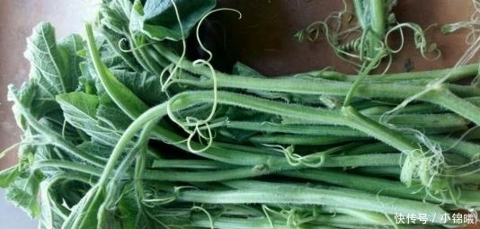 从不|碰到这菜我从不手软,1次买3把,识货的人都抢着买,调经又养血